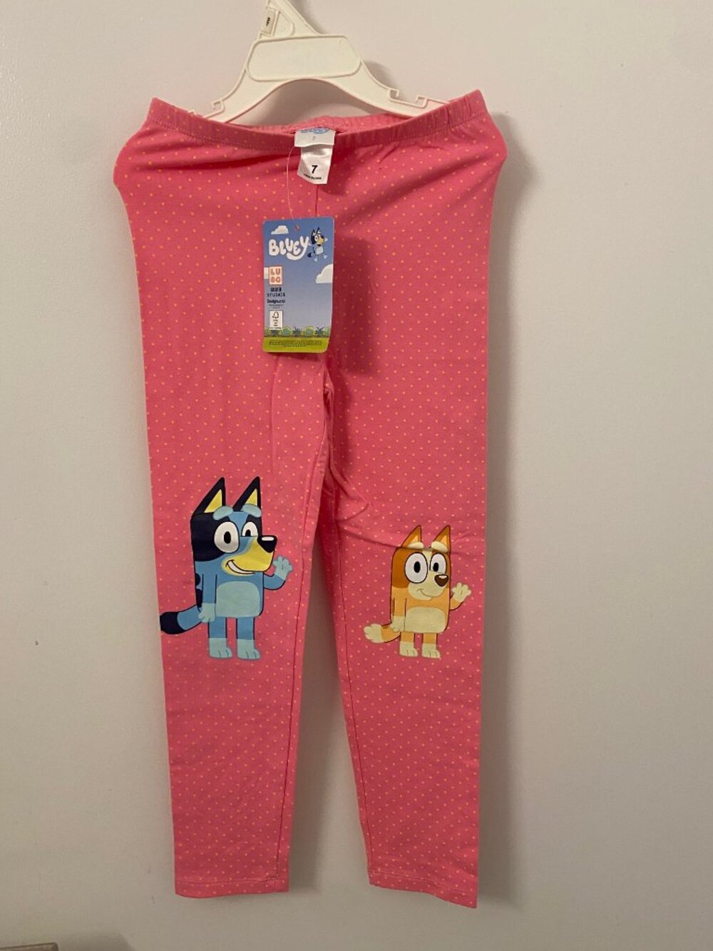 Bluey and Bingo pants